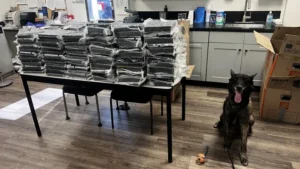 南加华人区惊现440磅可卡因!阿罕布拉破获大宗毒品案