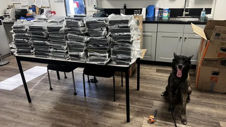 南加华人区惊现440磅可卡因！阿罕布拉破获大宗毒品案